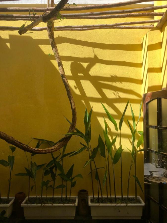 הואה Leranda Homestay מראה חיצוני תמונה
