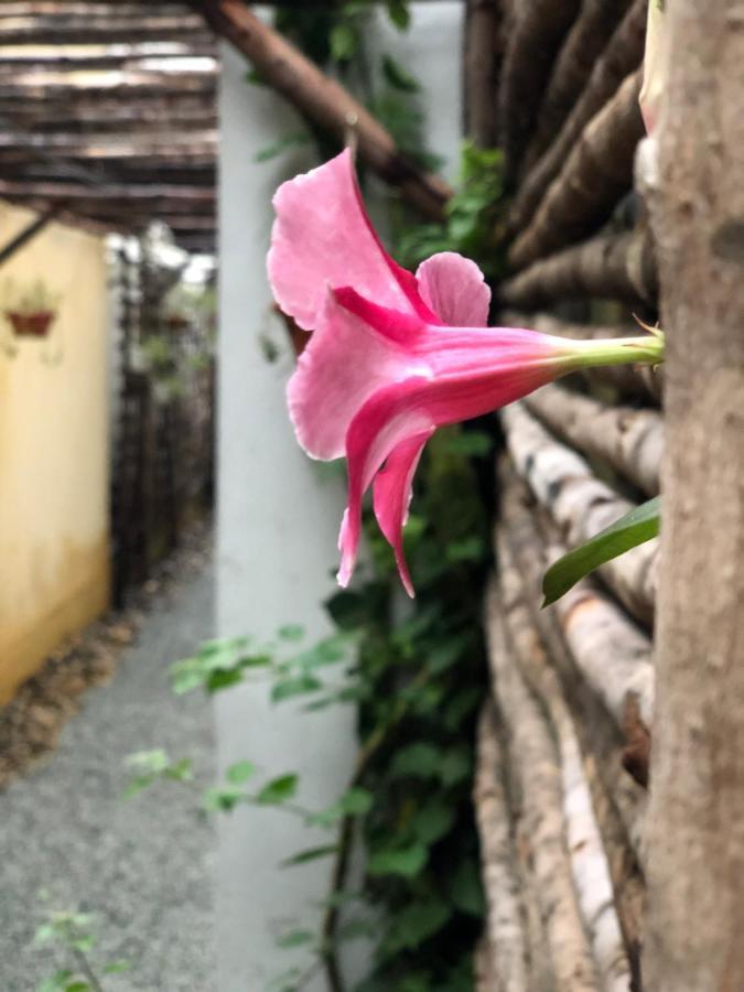 הואה Leranda Homestay מראה חיצוני תמונה